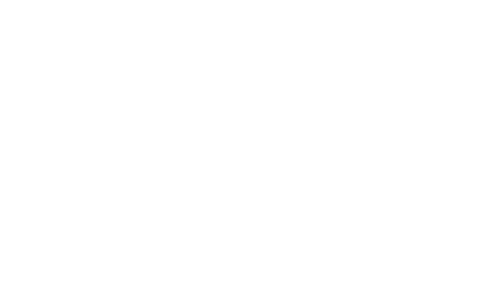 LM+ Architecture